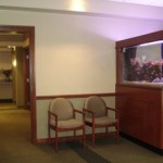 South Shore Oral Surgery