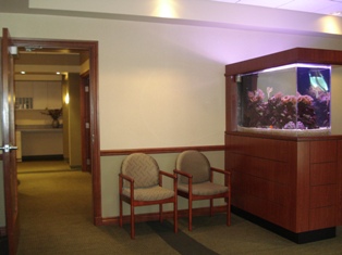 South Shore Oral Surgery